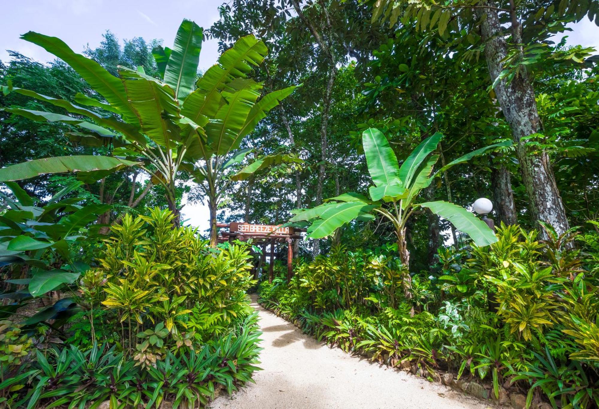 סאבוסאבו Savasi Island Resort חדר תמונה